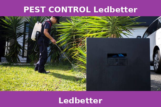 PEST CONTROL Ledbetter